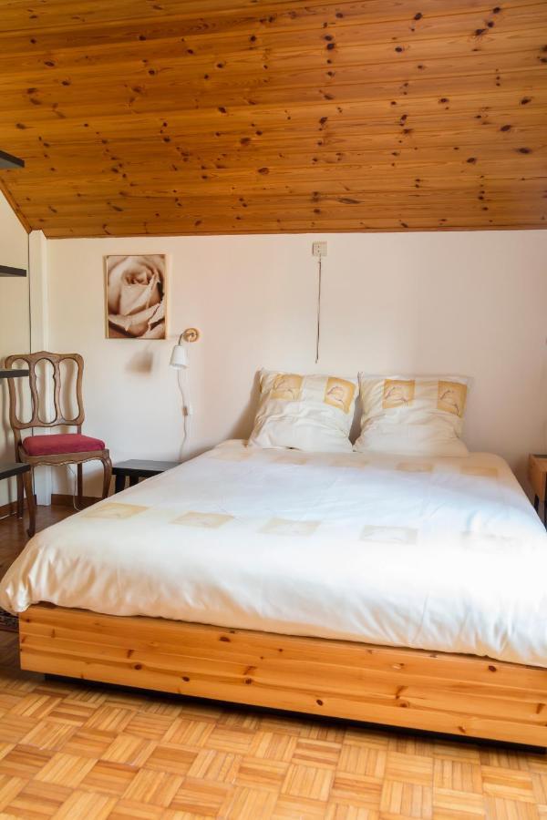 Vakantiewoning Het Oude Laer Билзен Экстерьер фото